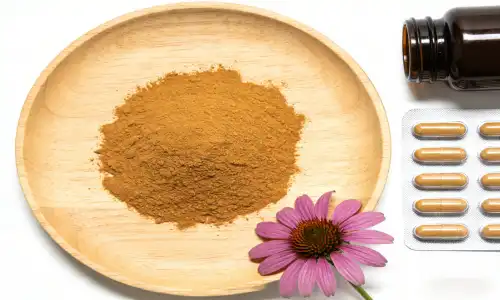 Top Guide to Echinacea Extract Powder for 2026
